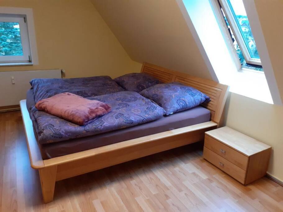 Schoene Und Ruhige Ferienwohnung In Ottendorf Sebnitz Zewnętrze zdjęcie